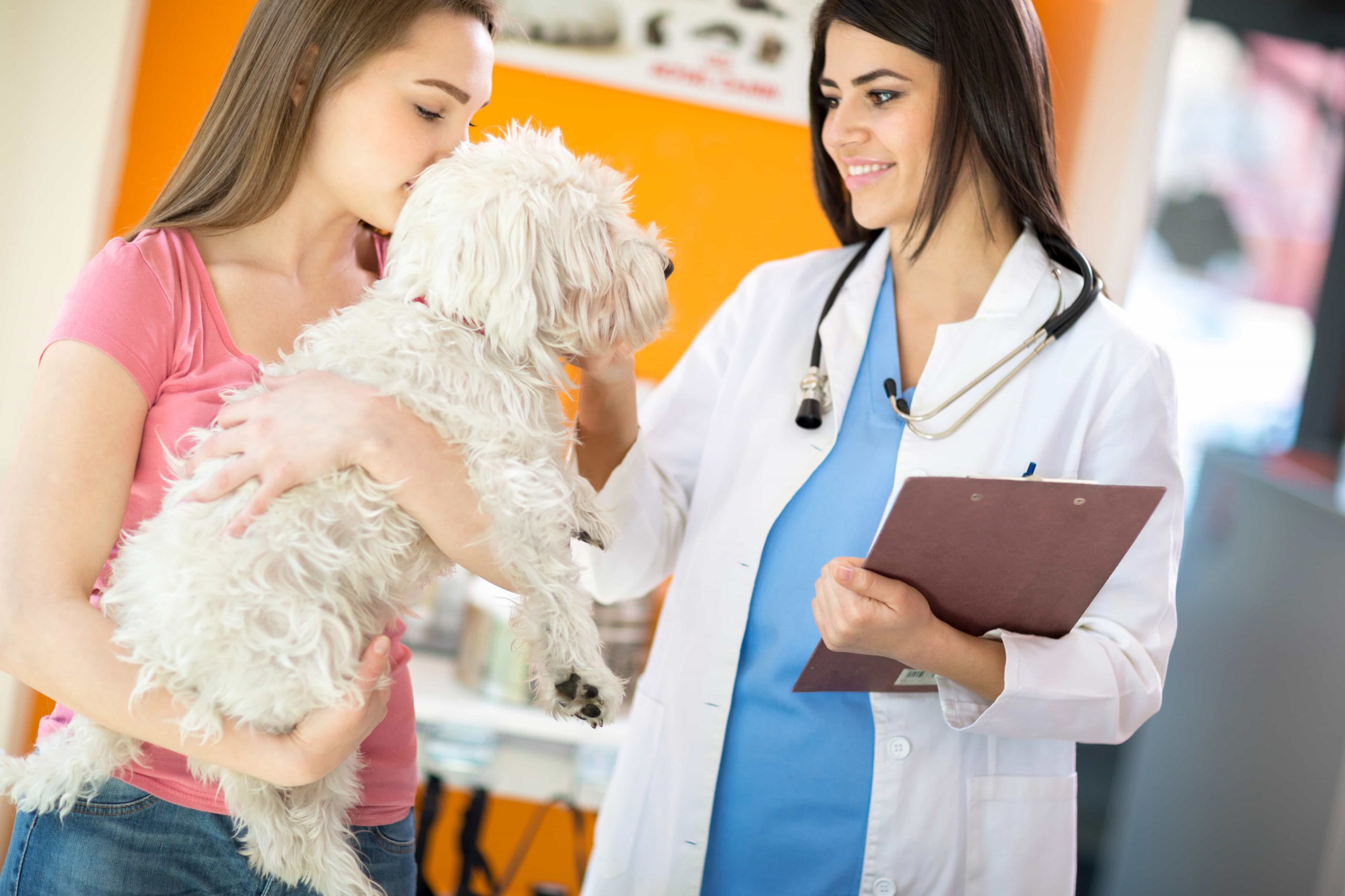 Best health plan care for your pets